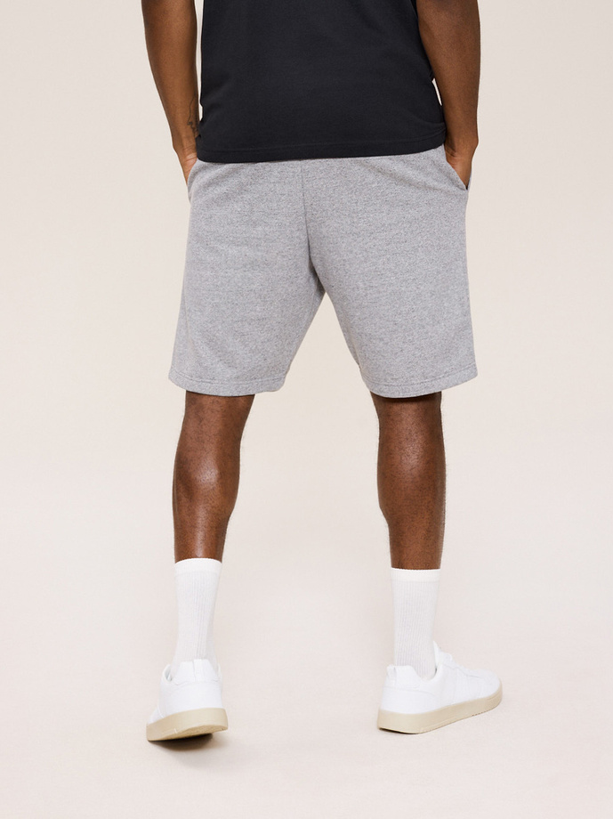 Men's shorts ATH SH W425 - gray melange