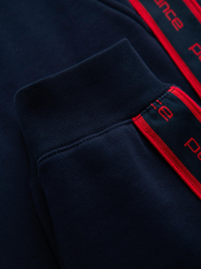 Sportowe spodnie męskie jogger z lampasami – granatowe V3 OM-PASK-0284