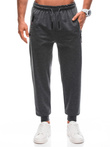 Men's sweatpants P1428 - grey