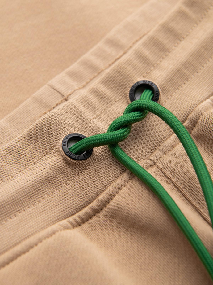 Sportowe spodnie męskie jogger z lampasami – brązowe V1 OM-PASK-0284