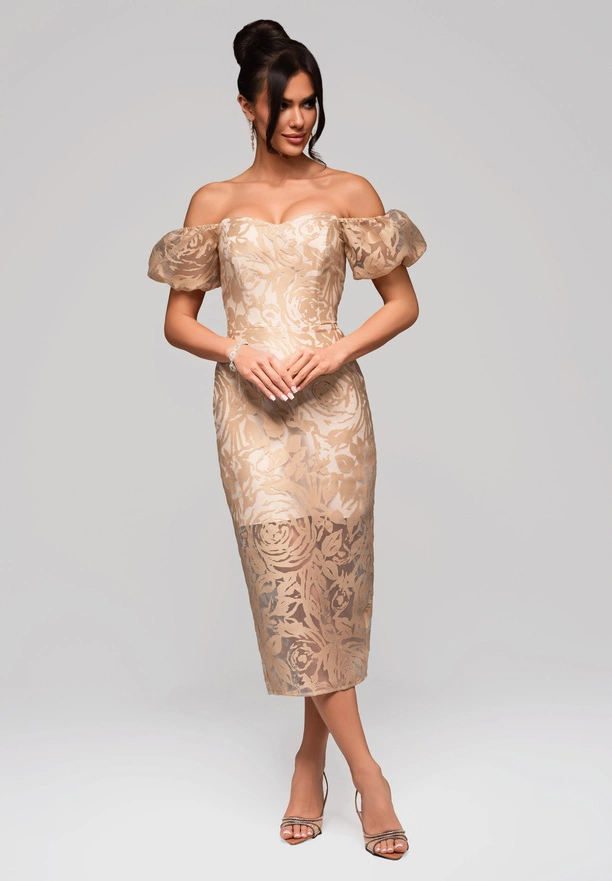 LA-OM-DLR127 Regular Fit Beige Evening Dress