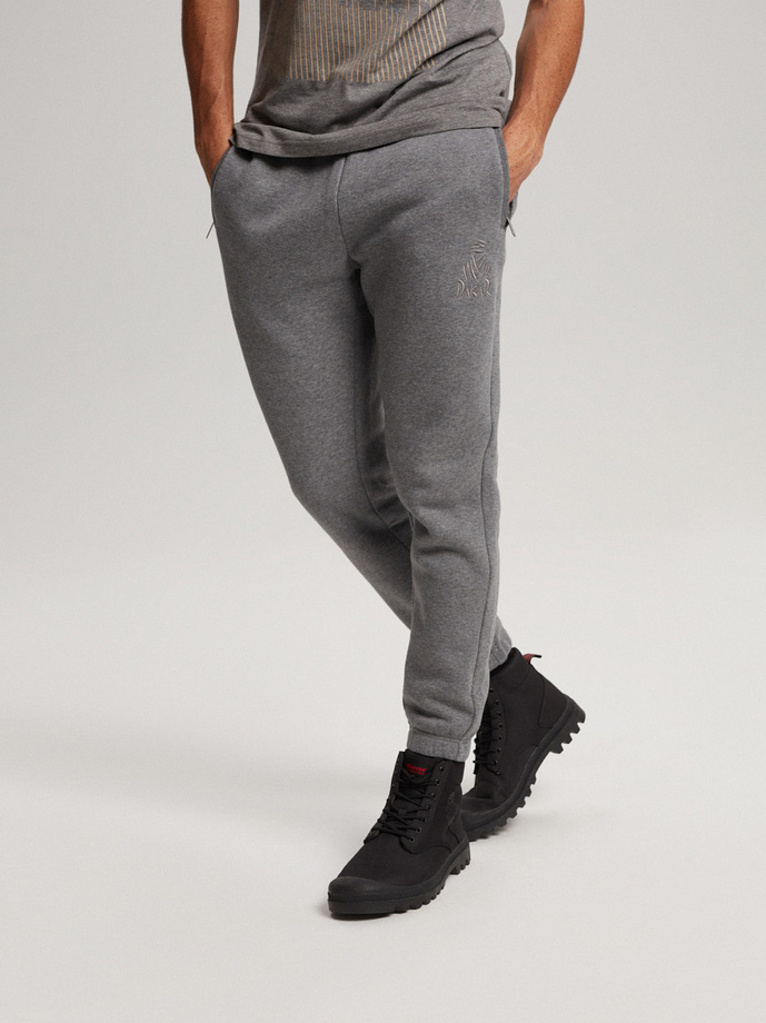 Men's sweatpants DKR DSRT J1 P1343 - grey melange