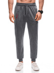 Men's sweatpants P1457 - grey