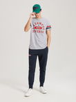 Men's printed T-shirt LA CAMPUS 01 S1814 - grey melange