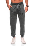 Men's sweatpants P1510 - gray