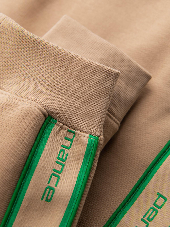 Sportowe spodnie męskie jogger z lampasami – brązowe V1 OM-PASK-0284