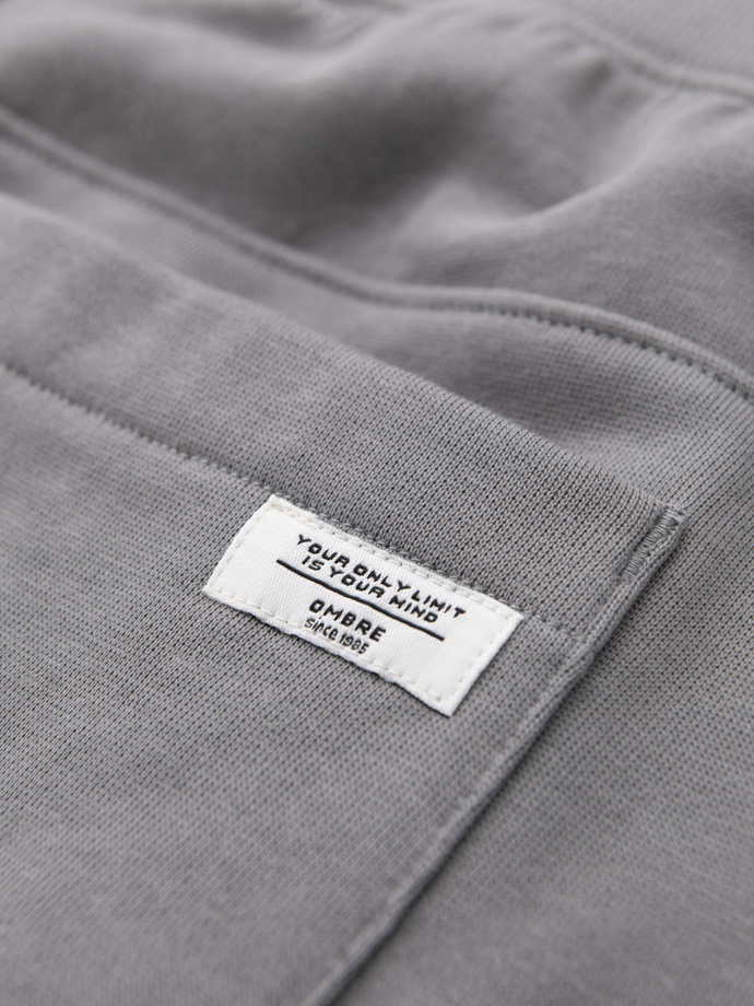 Męskie spodnie dresowe typu jogger - szare V8 OM-PABS-0173