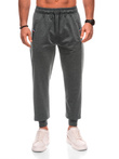 Men's sweatpants P1511 - gray