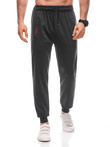 Men's sweatpants P1457 - dark grey