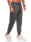 Men's sweatpants P1513 - gray
