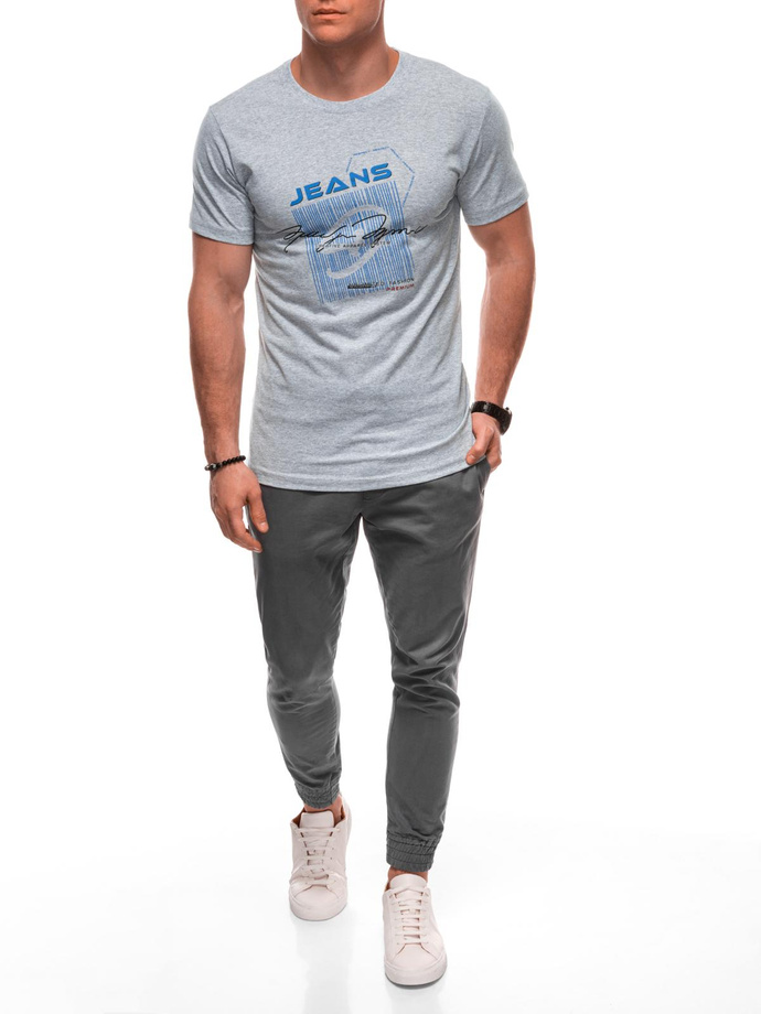 Men's printed t-shirt S2033 - gray