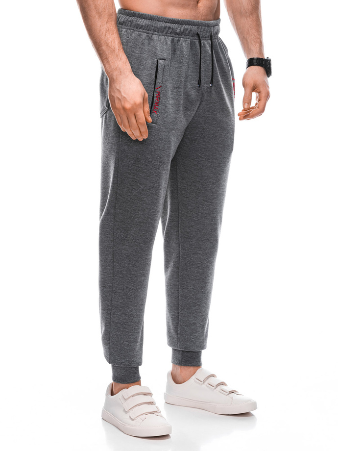 Spodnie męskie dresowe P1457 - szare