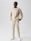 Men's sweatshirt ATH C 223 B1570 - sand